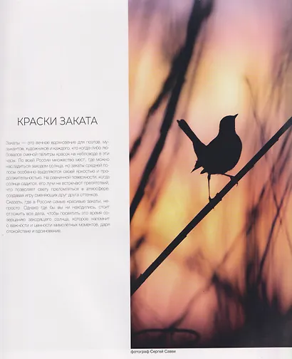 Россия. Заповедными дикими тропами: фотоальбом - фото 3