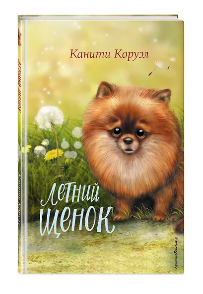 Летний щенок - фото 3