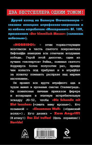 Ас-штрафник. Из Люфтваффе в штрафбат и обратно - фото 2