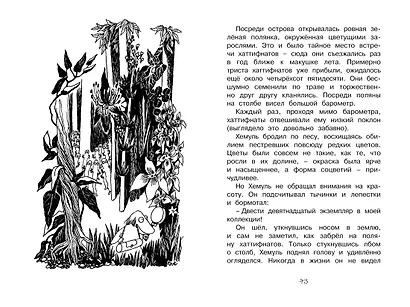 Шляпа Волшебника - фото 13
