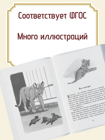 Фомка - белый медвежонок - фото 5