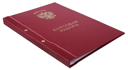 Обложка "Курсовая работа" ассорти, 2 отверстия, бумвинил - фото 3