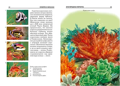 В морях и океанах. - фото 3