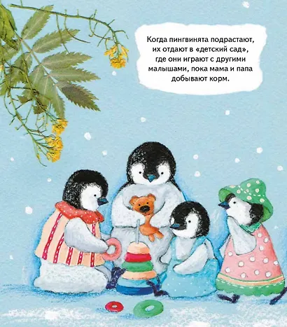 Пингвины. Все,что вы знаете и не знаете - фото 3