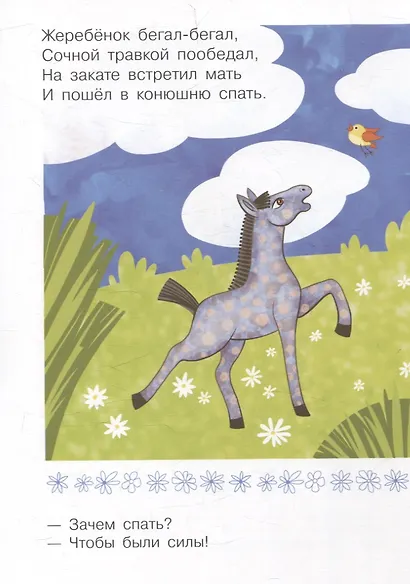 Зачем спать? - фото 4