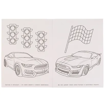 Блестящая раскраска. Финал Гран-при - фото 2