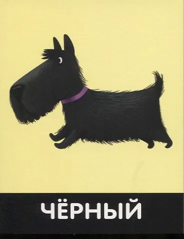 Набор карточек "Цвета и формы" - фото 3
