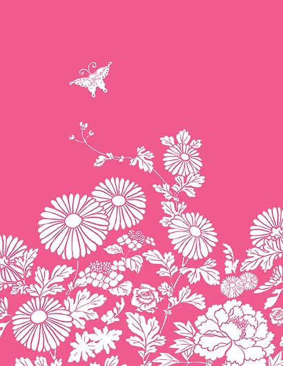 Для прекрасной леди. Поступай как женщина, думай как мужчина. Почему мужчины любят, но не женятся, и другие секреты сильного пола (комплект из 2 книг) - фото 2