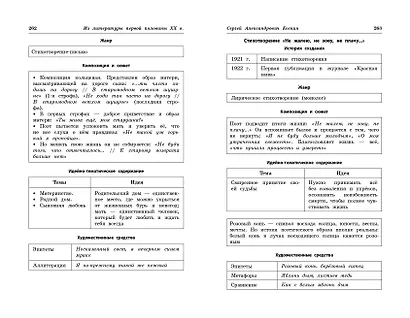 Литература: наглядно и доступно - фото 9