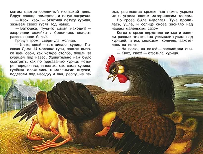Рассказы о природе - фото 11