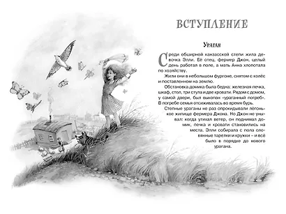 Волшебник Изумрудного города - фото 8