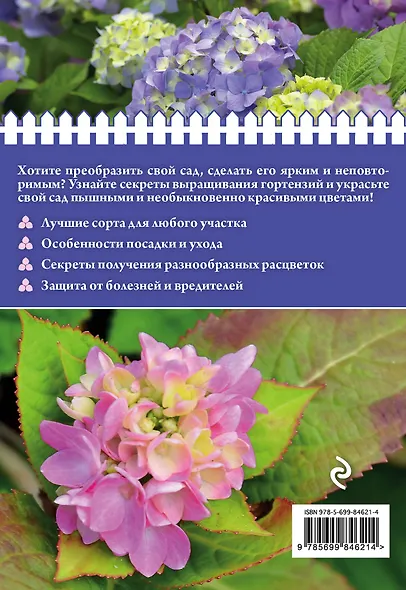 Гортензия. Секреты выращивания - фото 2