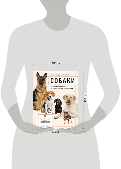 Собаки. Иллюстрированный гид по самым популярным породам - фото 4