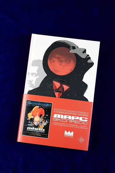 Марс Экспресс. Тэм - фото 6