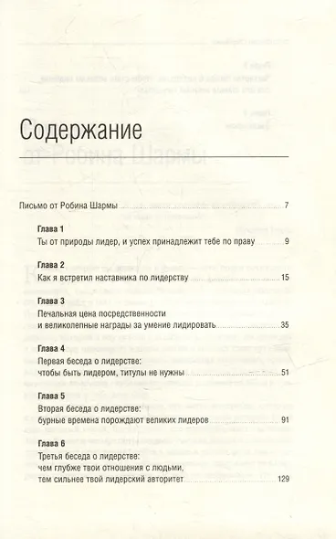 Лидер без титула. Современная притча об истинном успехе в жизни и бизнесе. Том 39 - фото 2