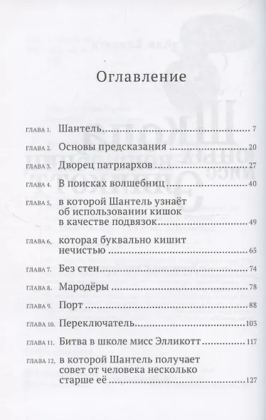 Школа юных волшебниц мисс Элликотт - фото 2