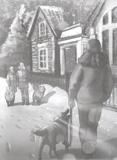 ДЕТСКИЙ ДЕТЕКТИВ. Дело о похищенной собаке - фото 6