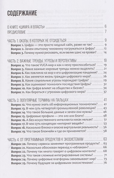 Цифра и власть. 50 вопросов заинтересованного чиновника - фото 3