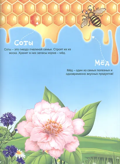 Насекомые. Многоразовые наклейки. Конструктор - фото 3