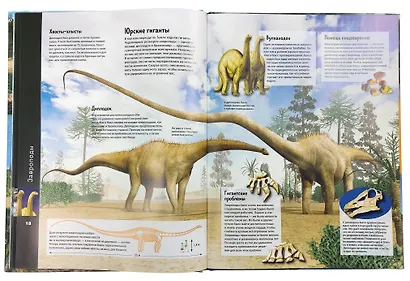 Динозавры. Виртуальная реальность - фото 5