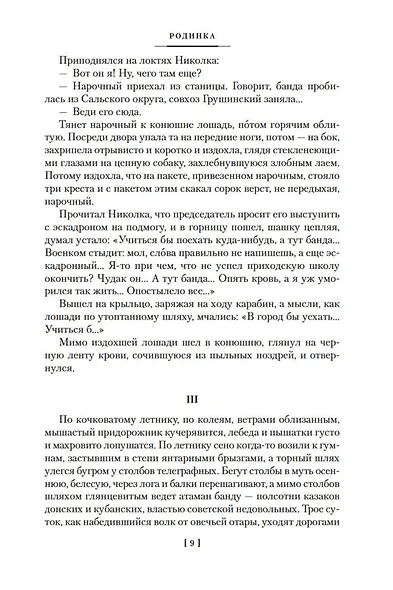 Донские рассказы. Судьба человека. Они сражались за Родину - фото 15