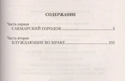 Форпост в степи - фото 2