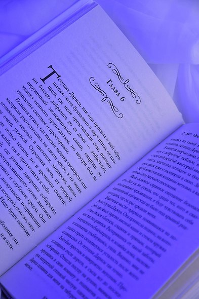 Невеста для снежного волка - фото 9