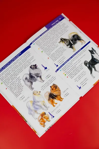 Породы собак. Определитель - фото 8