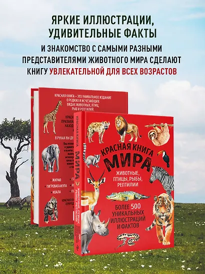 Красная книга мира. Большой формат. Более 500 уникальных иллюстраций и фактов (новое издание) - фото 6