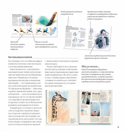 Животные акварелью. Пособие по анималистическому рисунку. 8 пошаговых уроков - фото 6