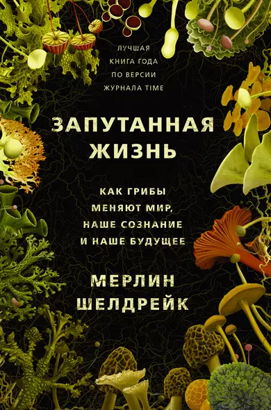 Запутанная жизнь. Как грибы меняют мир, сознание и будущее - фото 1