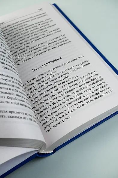 Корабельная чаща. Осударева дорога - фото 9