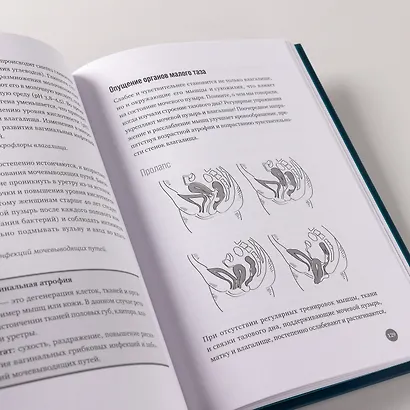 Ниже пояса: Открыто о прикрытом - фото 9