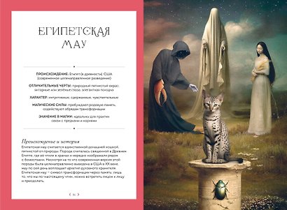 Кошки. Удивительные породы и их секреты - фото 9