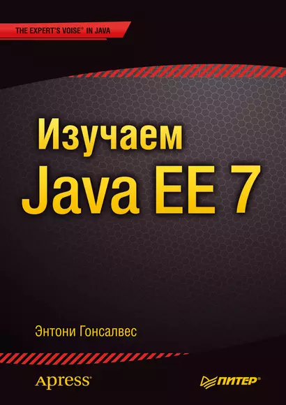 Изучаем Java EE 7 - фото 1