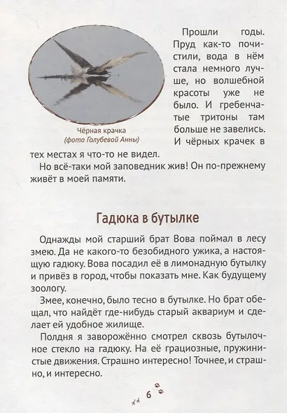 Пряники для слона - фото 3