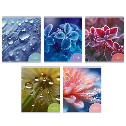 Тетрадь в клетку Listoff, "Красота природы", 48 листов, в ассортименте - фото 1