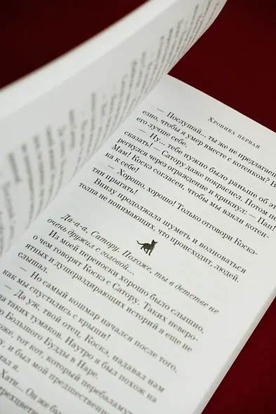 Хроники странствующего кота - фото 14