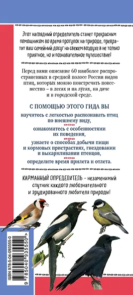 Птицы России. Наглядный карманный определитель - фото 2