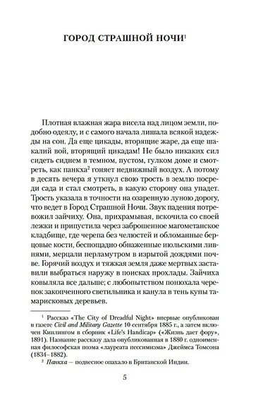 Город Страшной Ночи и другие мистические истории - фото 10