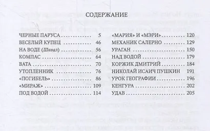 Механик Салерно - фото 2