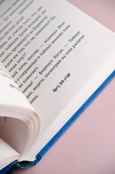 Замок Сен-Мар - фото 12