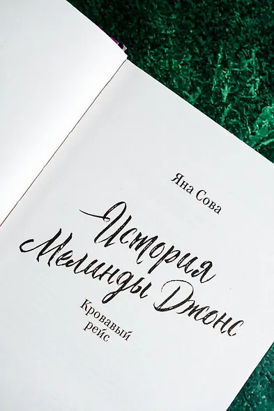 История Мелинды Джонс: Кровавый рейс - фото 7