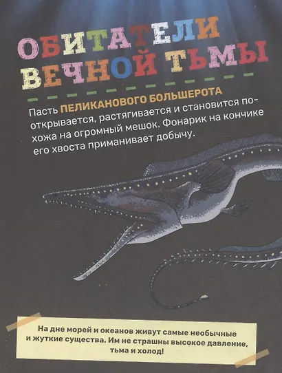 Подводный мир. Первая энциклопедия малыша - фото 4