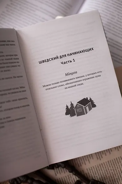 Чисто шведские убийства. Деревушка с секретами - фото 9