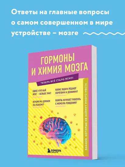 Гормоны и химия мозга - фото 4
