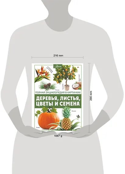 Деревья, листья, цветы и семена - фото 9