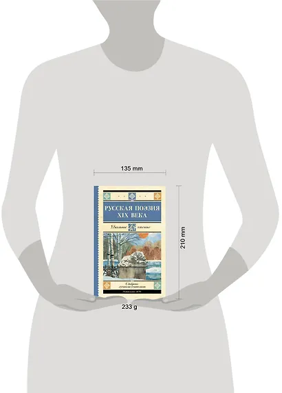 Русская поэзия XIX века - фото 14