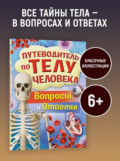 Путеводитель по телу человека. Вопросы и ответы - фото 3