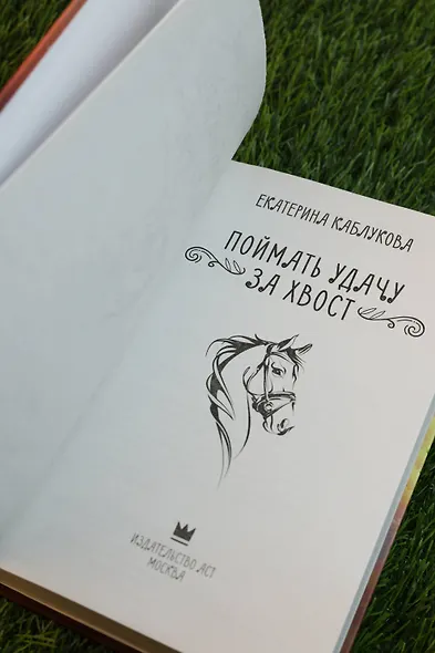 Поймать удачу за хвост - фото 8